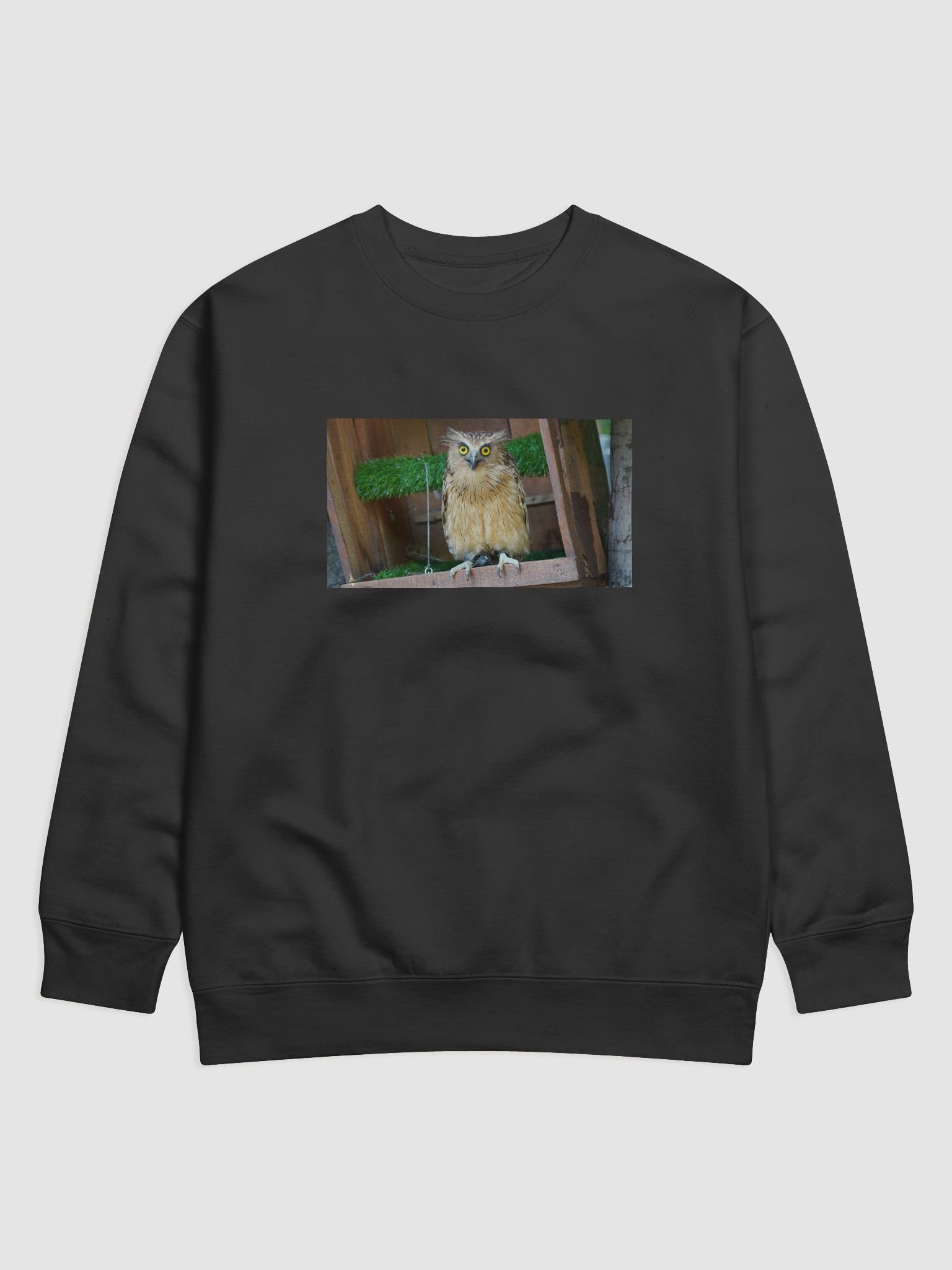 Owl Eyes Premium Sweatshirt product image (1)