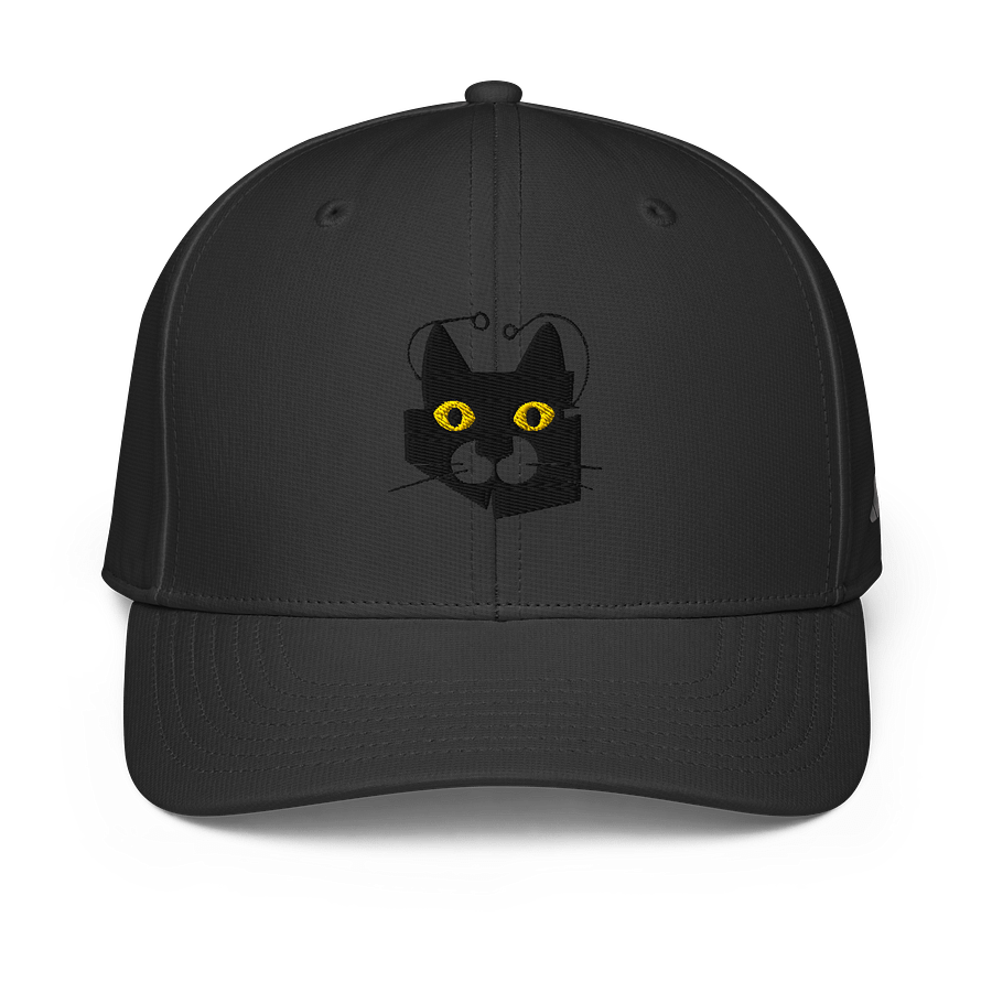 Whiskered Feline Snapback product image (3)