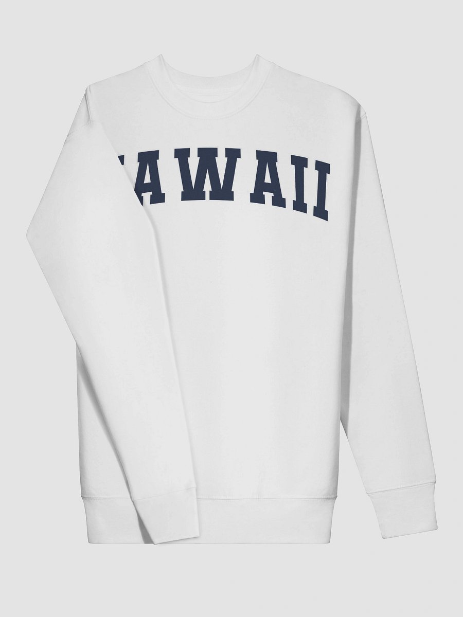 Hawaii Vintage Stylish Premium Sweatshirt product image (25)