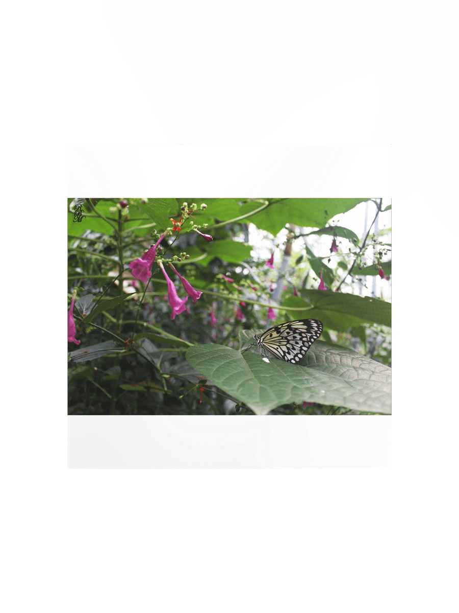 Yellow Butterfly on a Leaf product image (1)