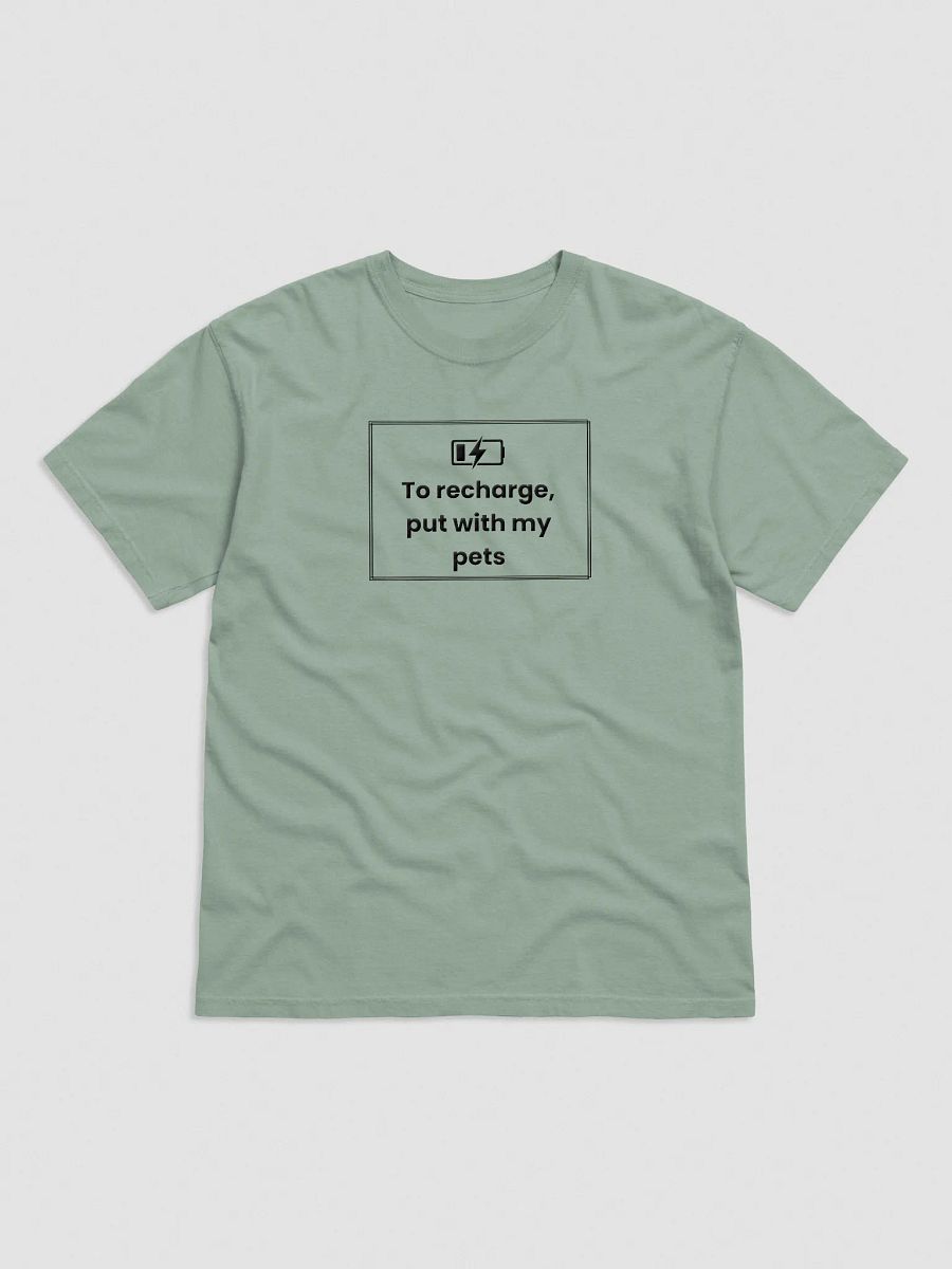 Embroidered T-Shirt - To Recharge, Put with my pets - Black product image (1)