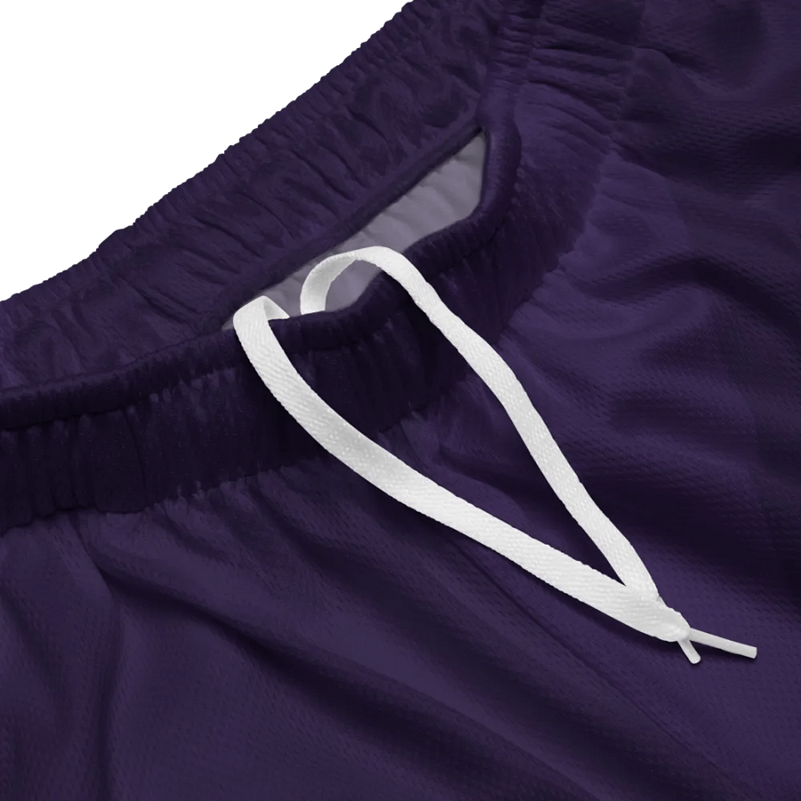 Logo Mesh Shorts product image (3)
