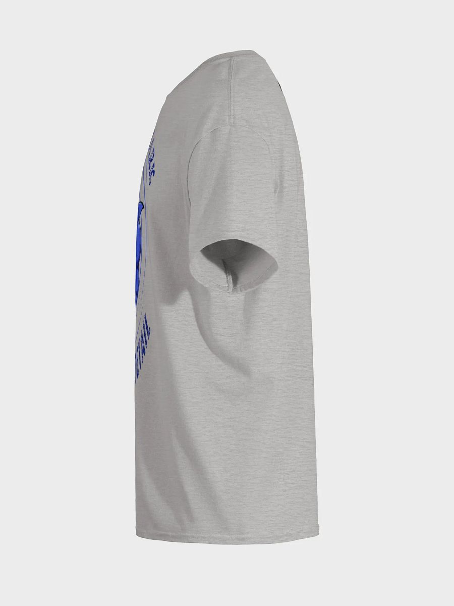 Security Detail product image (43)