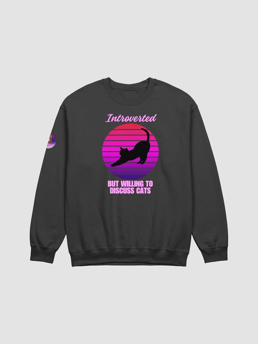 Introverted Sweatshirt product image (1)
