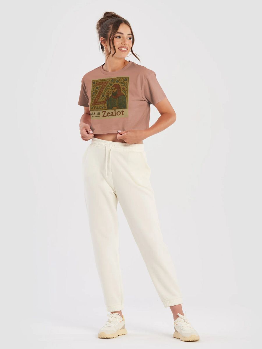 Z as in zealot crop top product image (1)