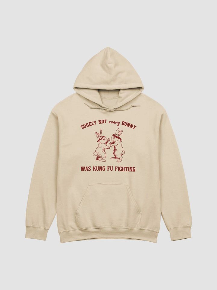 Surely not every bunny was kung fu fighting Hoodie product image (1)