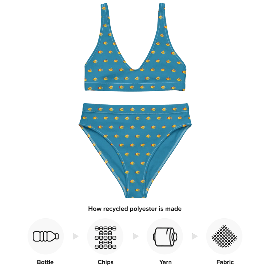 MSLA Sub Series - High Waisted Bikini product image (6)