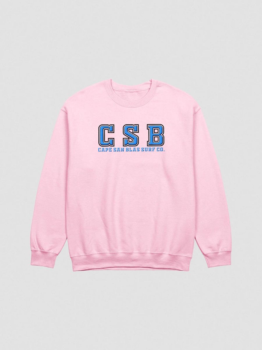 College Bound Embroidered Sweatshirt product image (5)