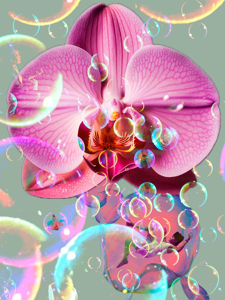Bubbles & Duckzilla product image (1)