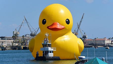 The hecto-duck!!