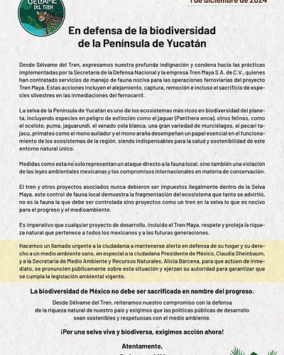 🔴 COMUNICADO 🔴

La fauna no debe ser sacrificada en nombre del progreso. #SelvameDelTren