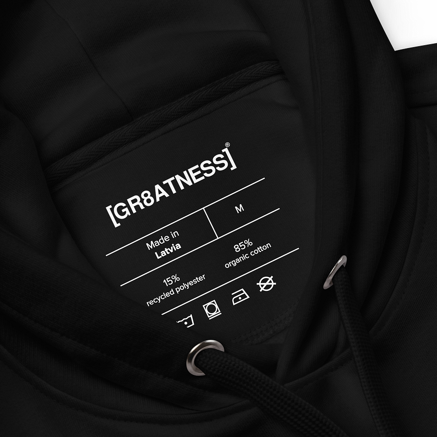 [GR8ATNESS]® Aesthetic Hoodie product image (3)