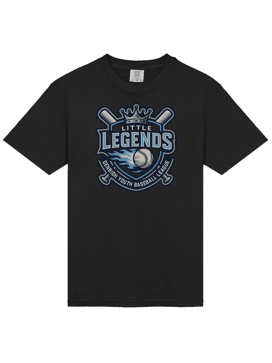 Little Legends - Heavyweight T-shirt product image (21)