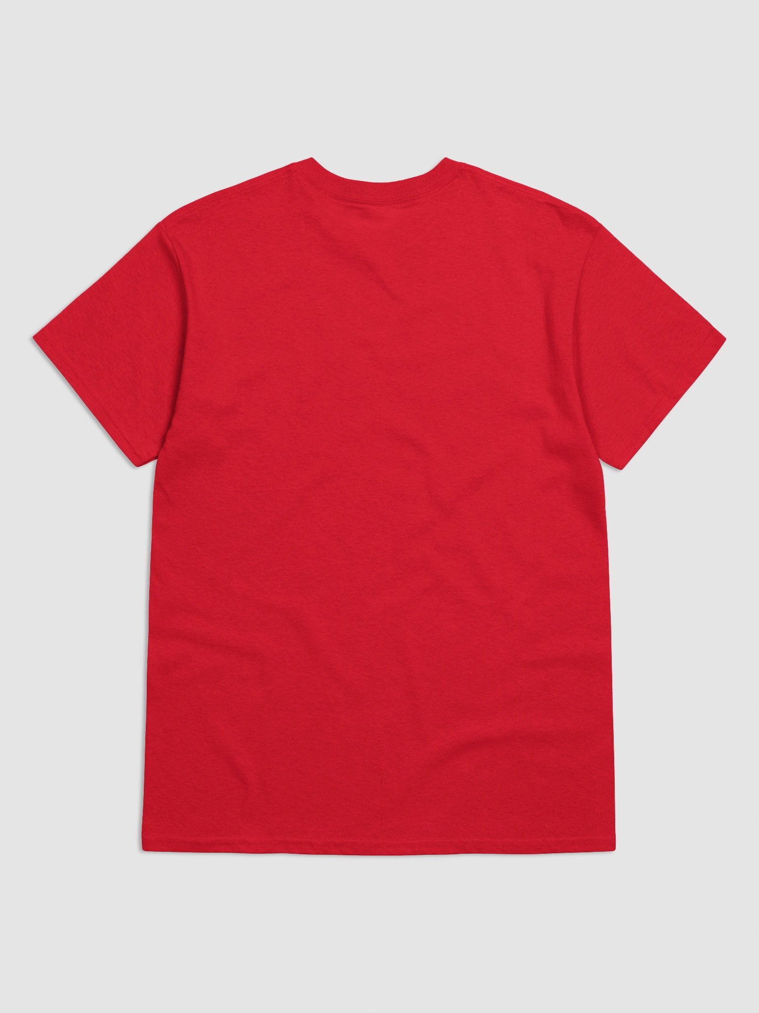 HOT GIRLS READ BOOKS T-Shirt product image (11)
