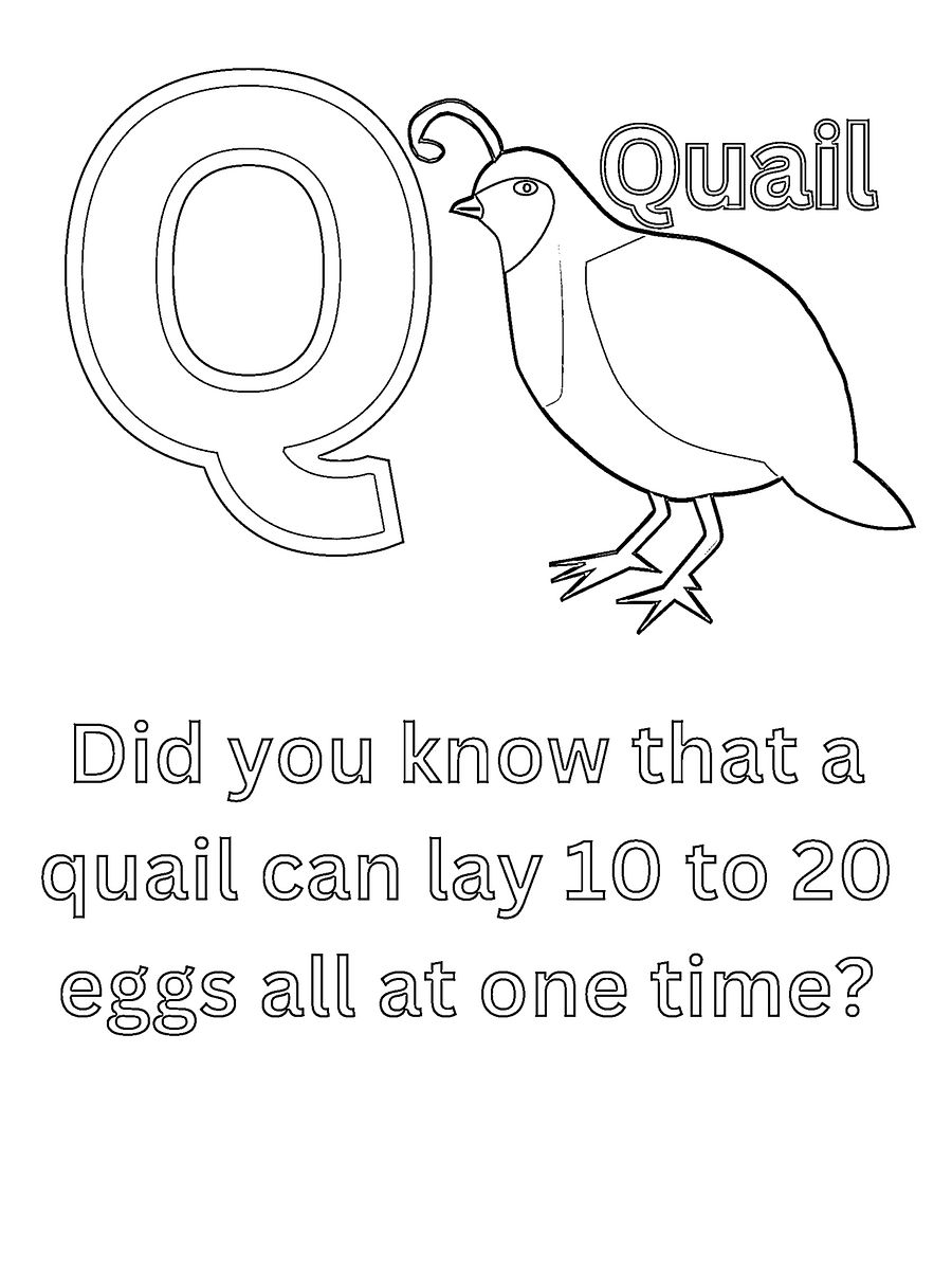 Cool Animal Facts ABCs Coloring Book: Animal Names and Information for Preschoolers and Kindergarten Children product image (7)