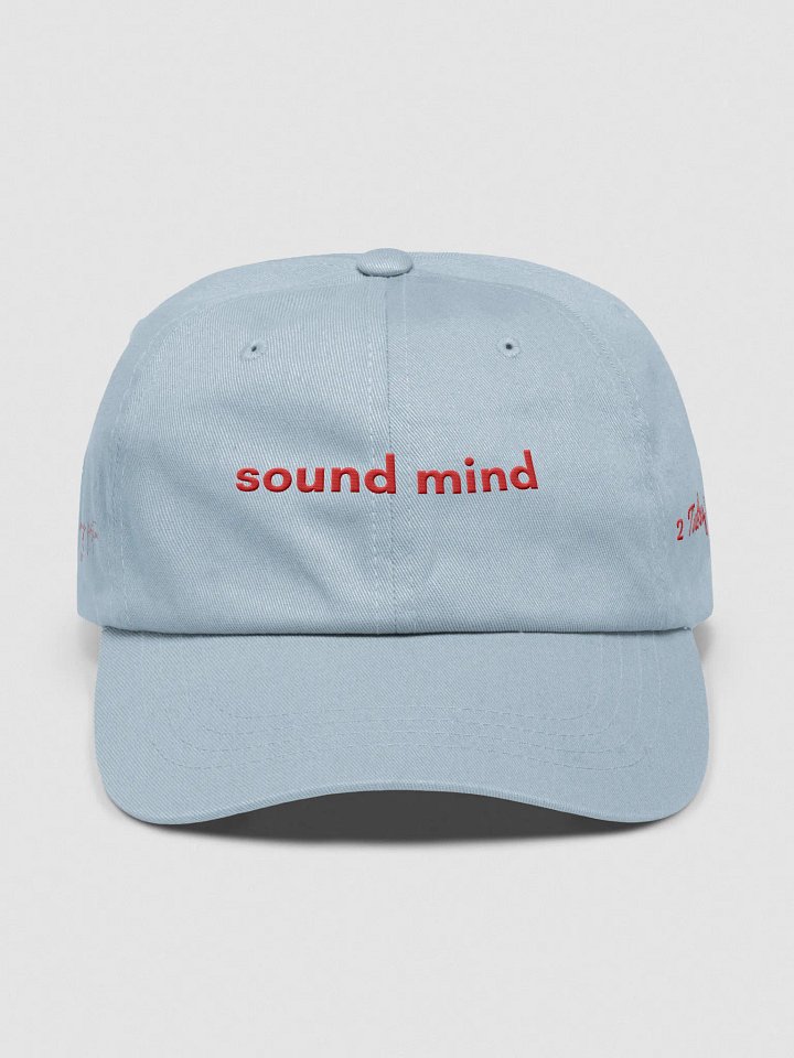 sanctified + stable hat product image (1)
