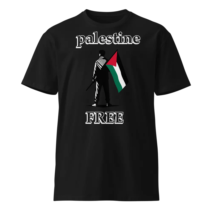 Palestinian Heritage Solidarity T-Shirt product image (1)