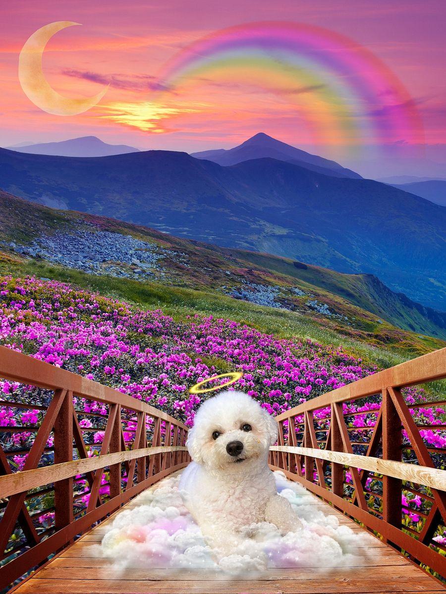 Rainbow Bridge Custom Portrait product image (7)