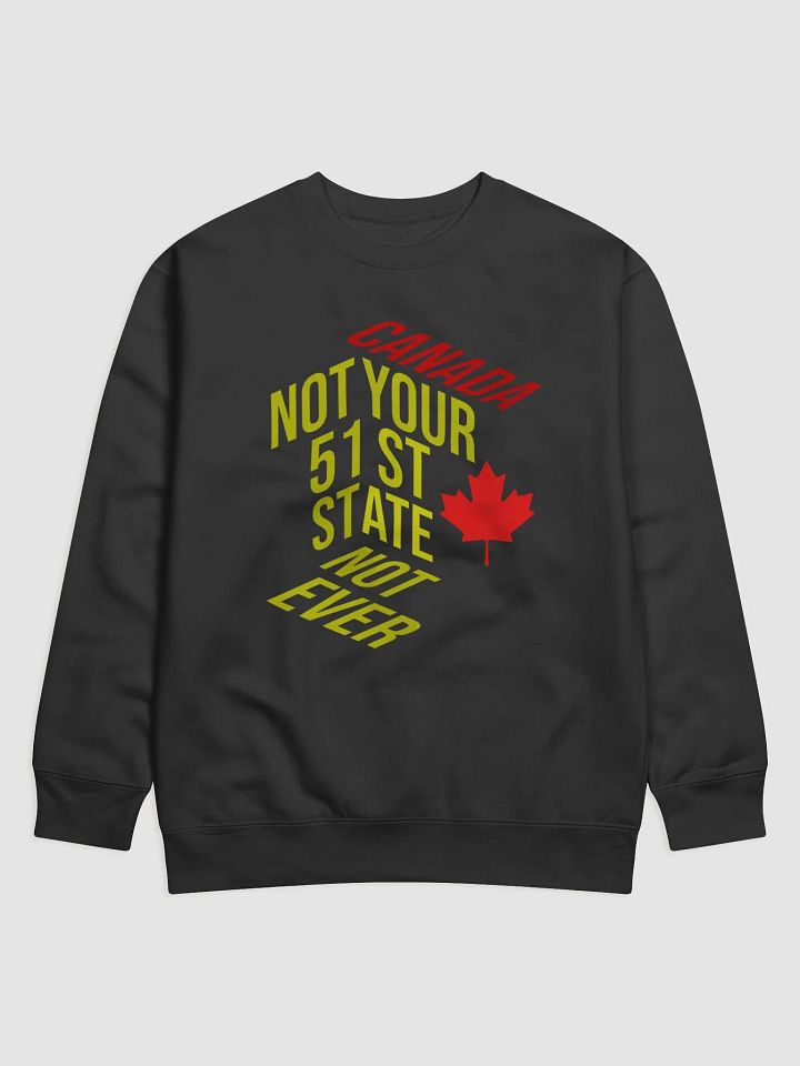 Canadian Pride Statement Sweatshirt product image (17)