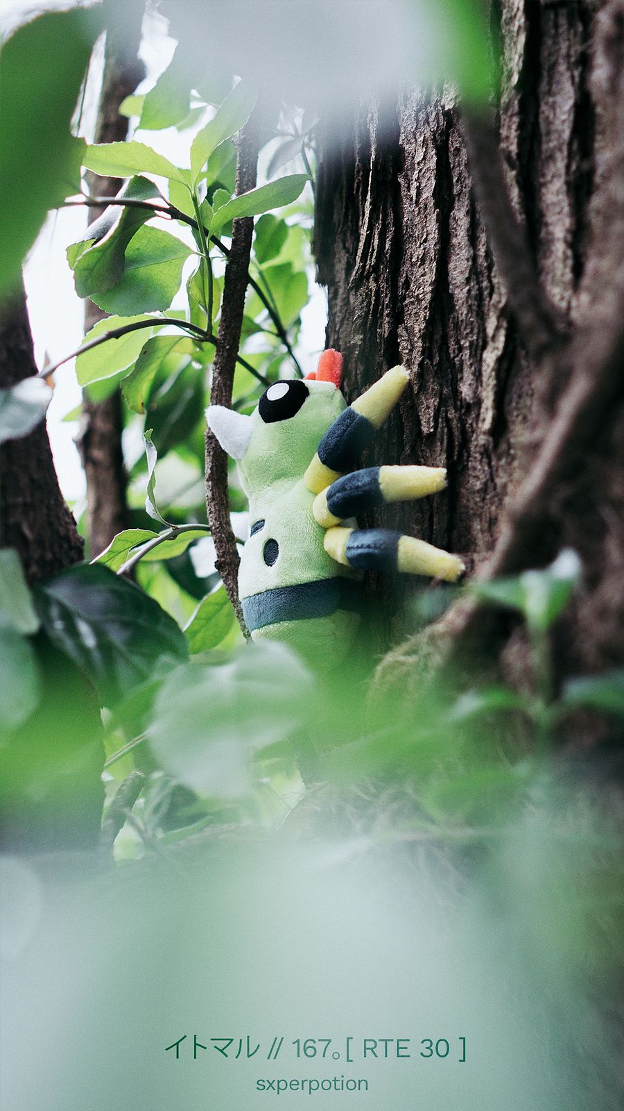 イトマル // 167。[ RTE 30 ] product image (1)