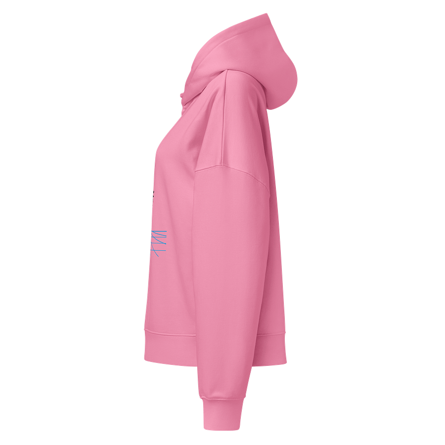 Retro Sunset Organic Hoodie product image (5)