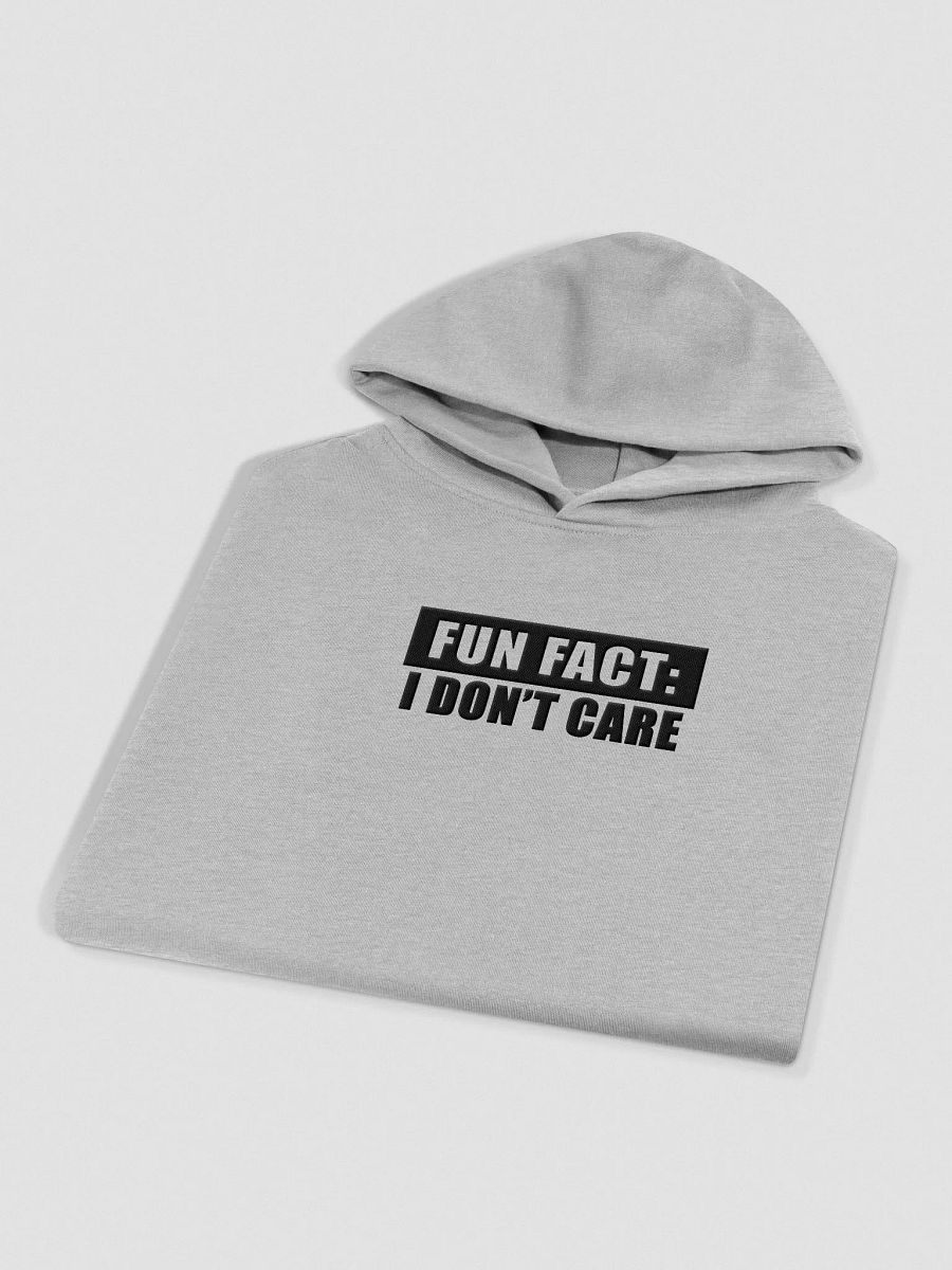 Fun Fact product image (3)