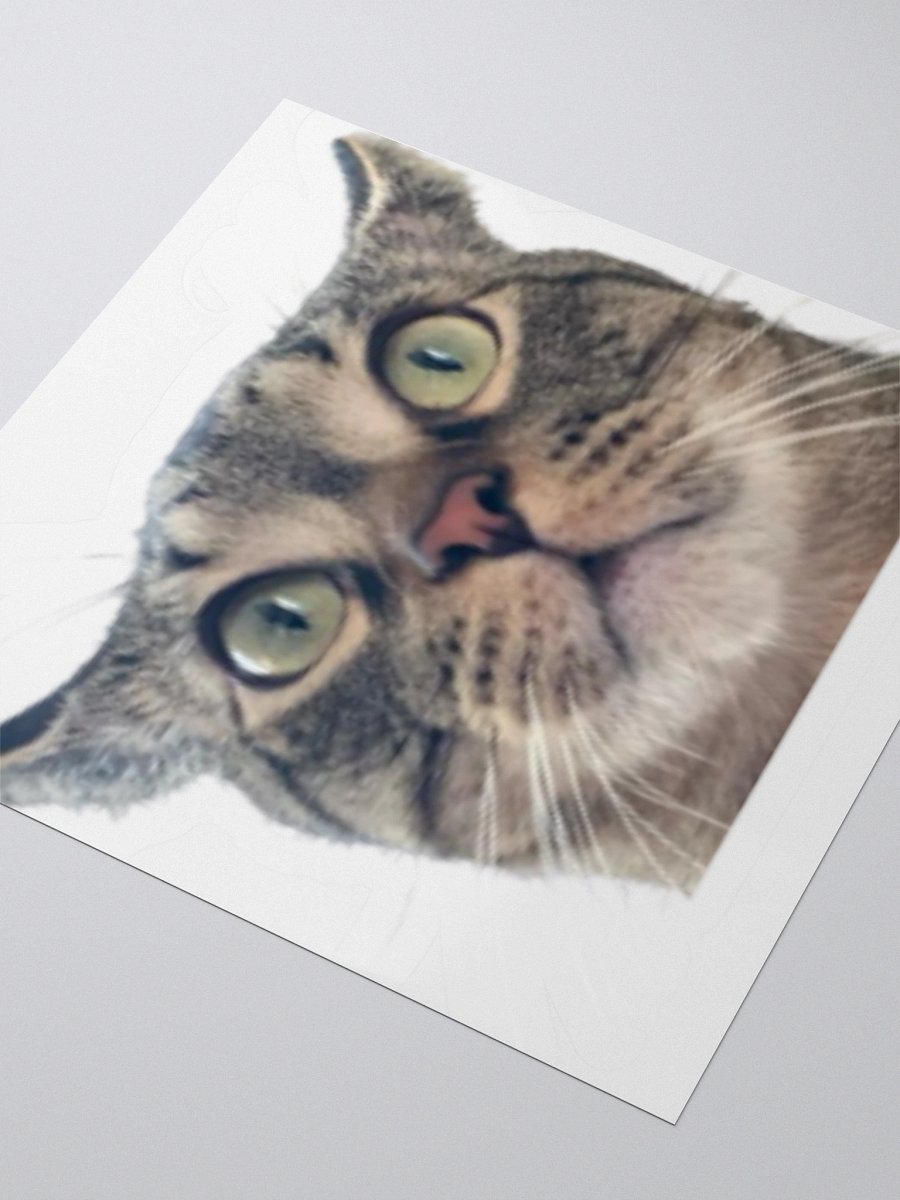 Luke Sticker product image (7)