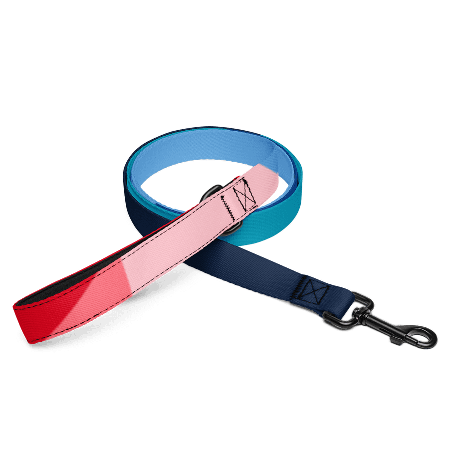 Lucky Dog Vibrant Stripes Pet Leash #001 product image (1)