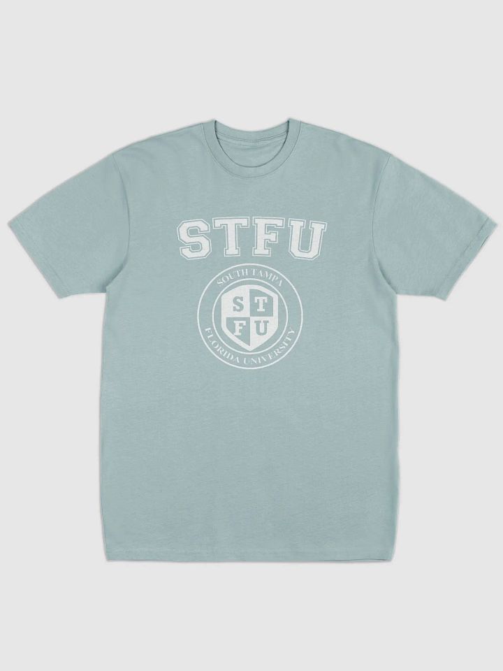 STFU Men's Premium Heavyweight Tee / Dark Colors product image (1)