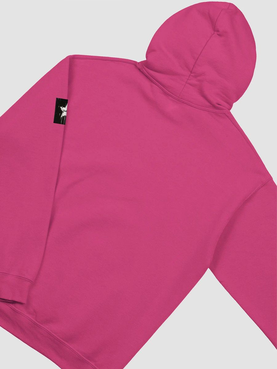 Gallus Hoodies product image (22)