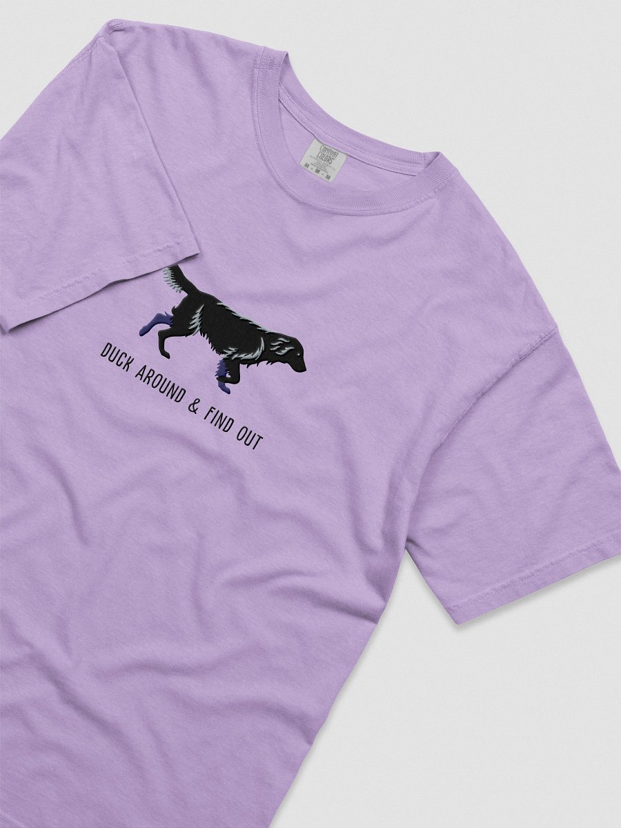 Duck Around and Find Out T-Shirt(Embroidered) of a Flat-Coated Retriever(Black) product image (45)