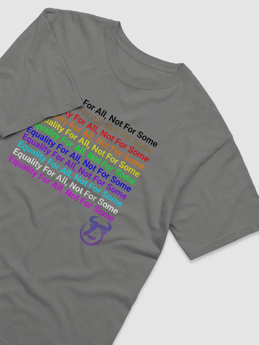 Equality For All, Not For Some T-Shirt product image (3)