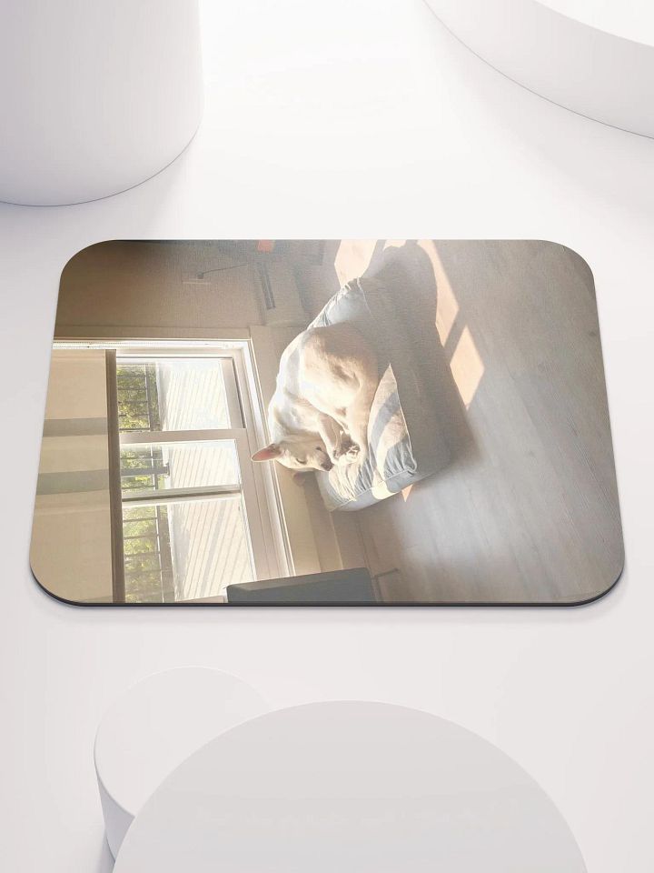 sunbeamn boy product image (2)