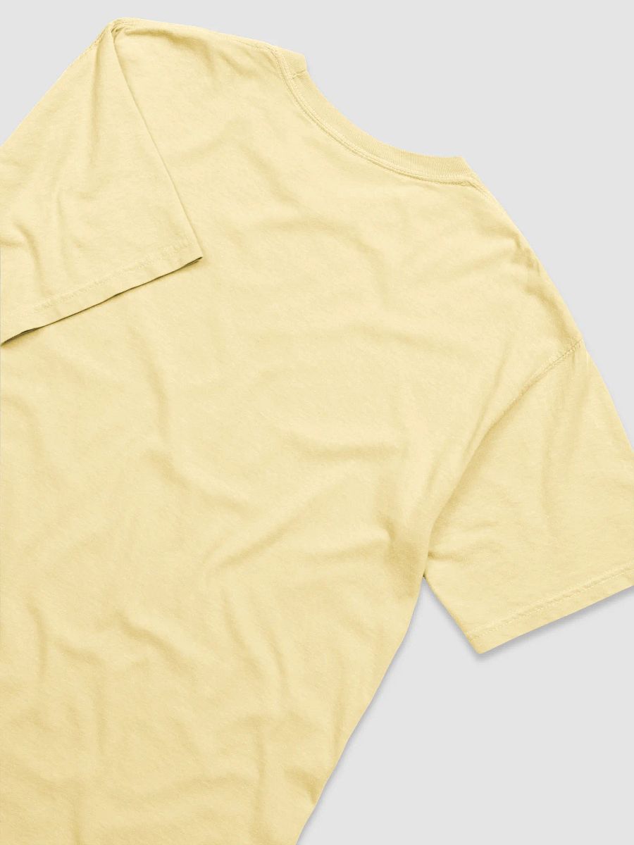 Kamala Harris 2024 - For a Brighter Tomorrow T-Shirt product image (9)