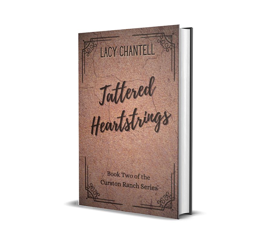 Imperfect Tattered Heartstrings Hardbacks product image (1)