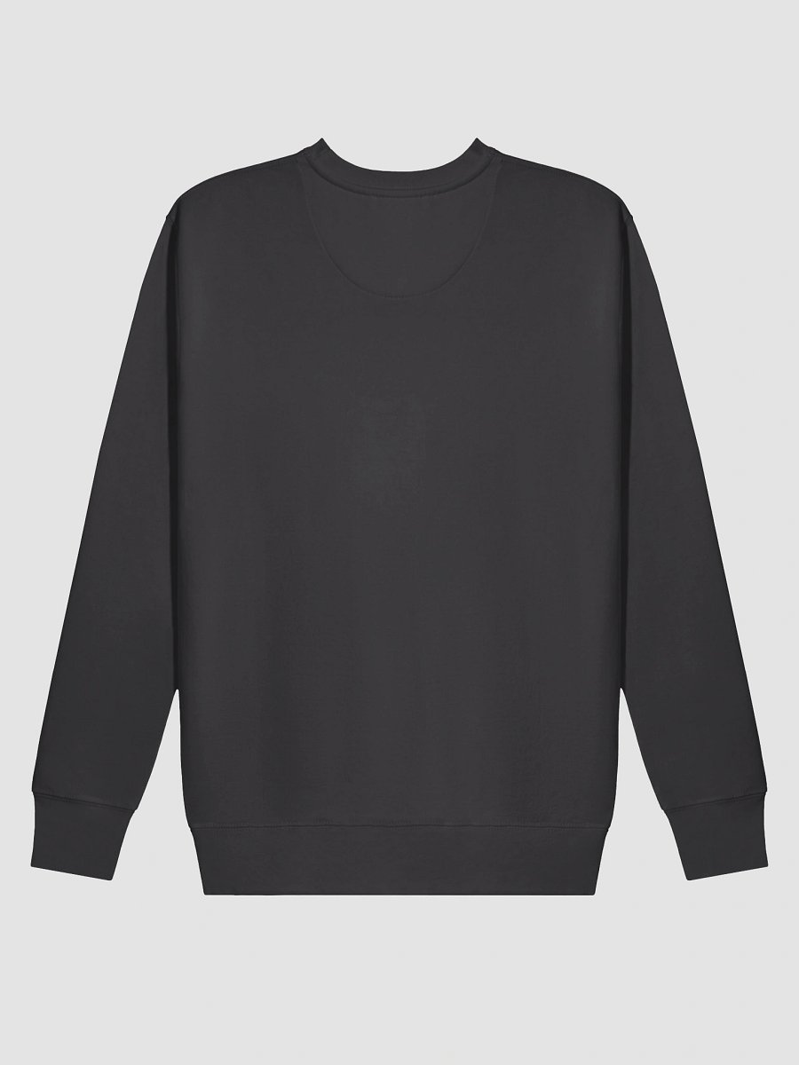 2THAHOU2E Flag Football Sweatshirt product image (23)