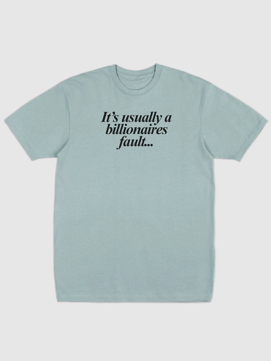 Billionaire's Fault product image (1)