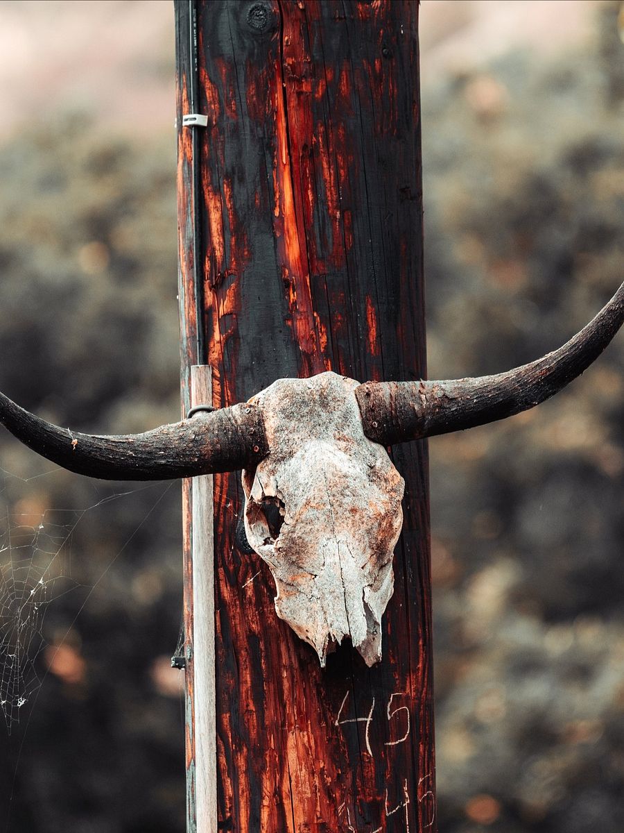 Chasing Adventure Pack - 15 Presets product image (8)