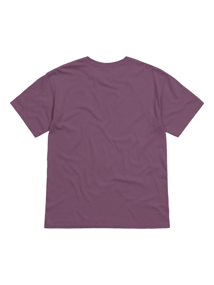 Empowerment Elegance Tee product image (10)