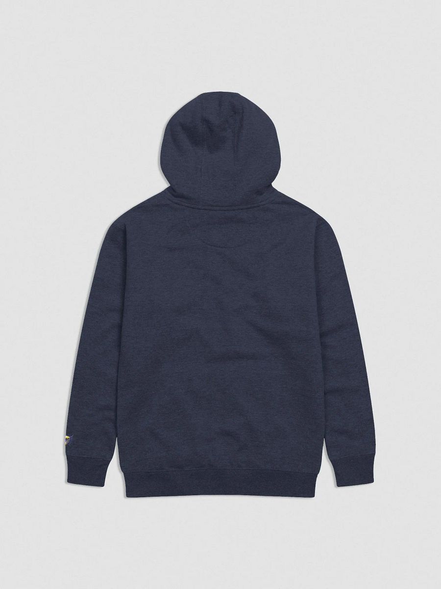 Nova Vitae Pride Hoodie product image (3)