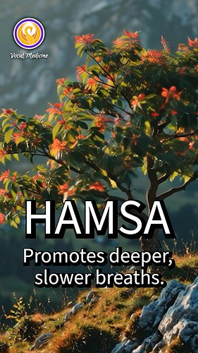 Try this single word mantra as a breathing practice!

#pranayama #breath #breathwork #mantras #yogamusic #yogalife