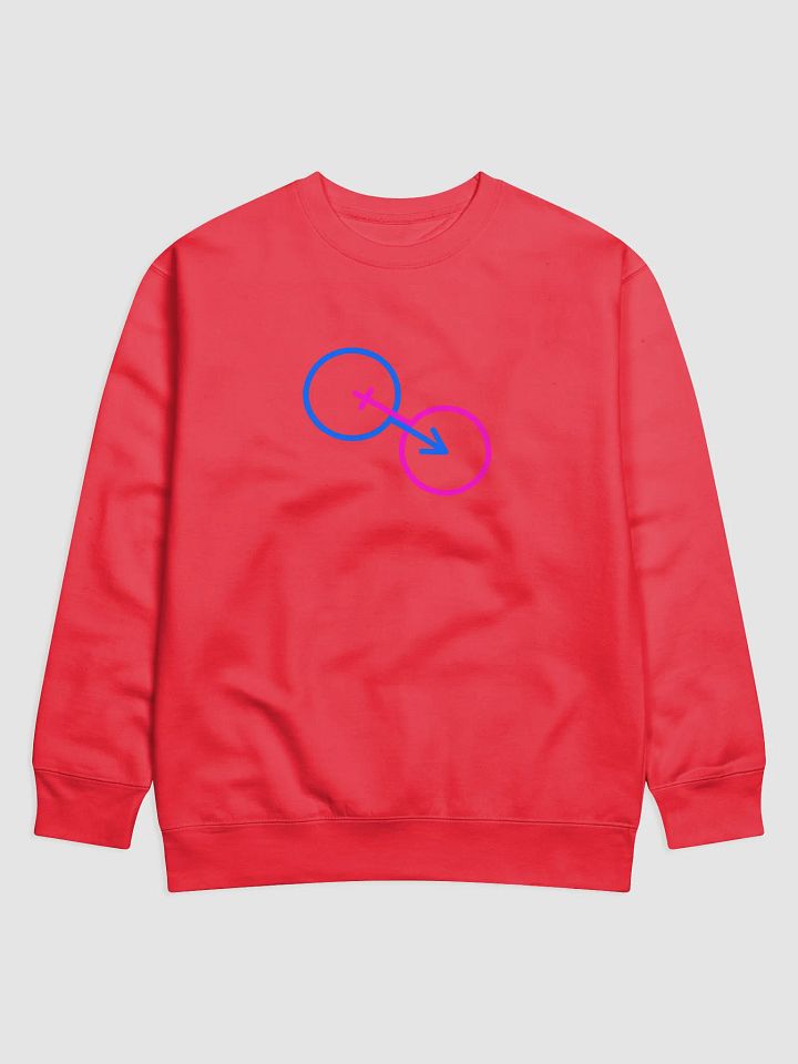 Traditional Genders United Sweatshirt product image (1)