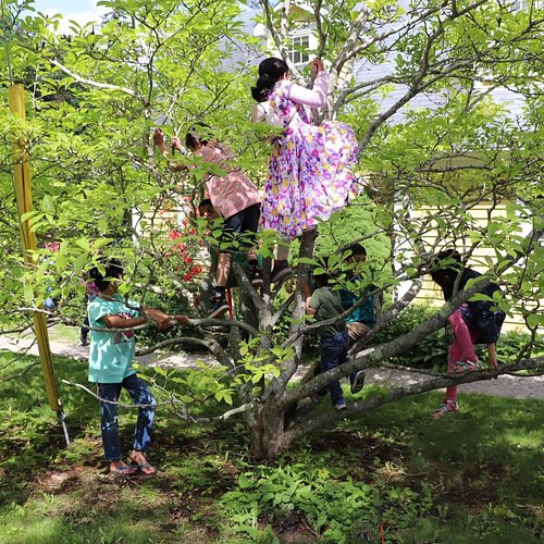Today marks the start of Eid al-Adha. Every year we used to host multigenerational community potlucks & Eid celebrations. The...