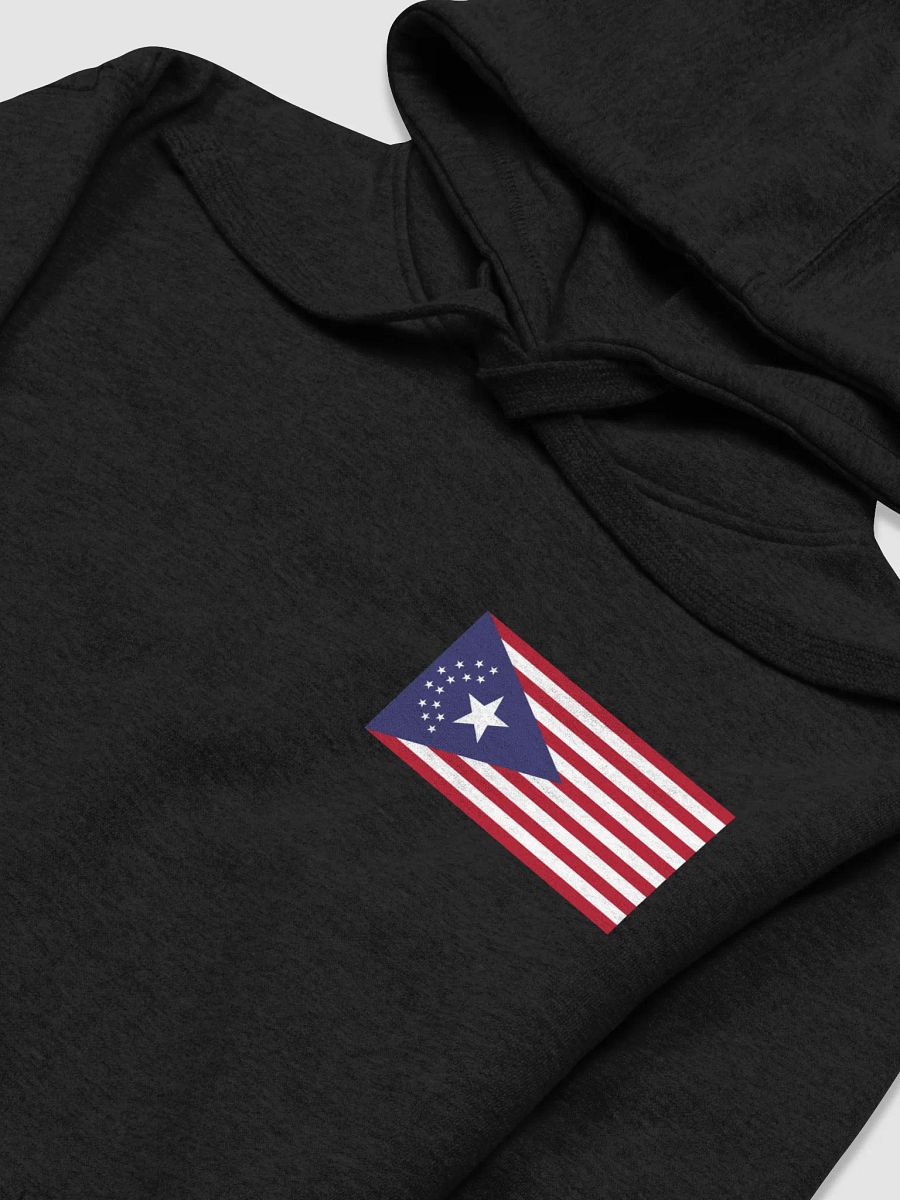 SongBird/NUSA hoodie product image (27)