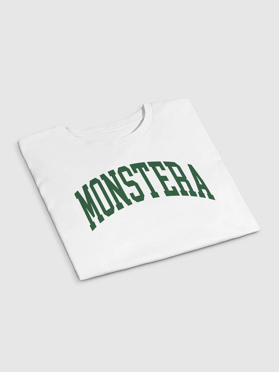 MONSTERA varsity crop top product image (6)