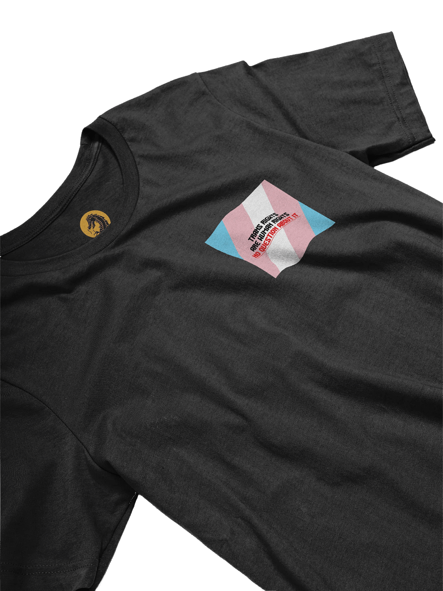 Trans Rights T-Shirt product image (3)