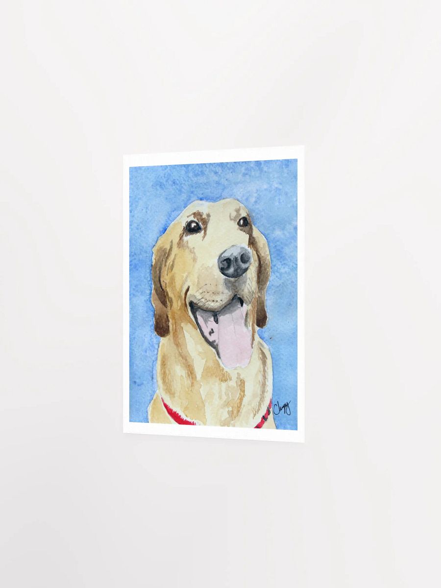Yellow Lab Print product image (2)