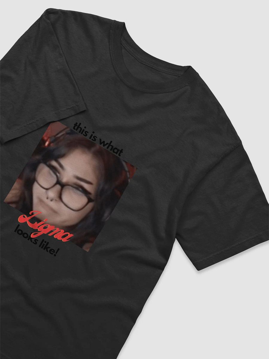 Snowmonk Ligma Tee product image (3)