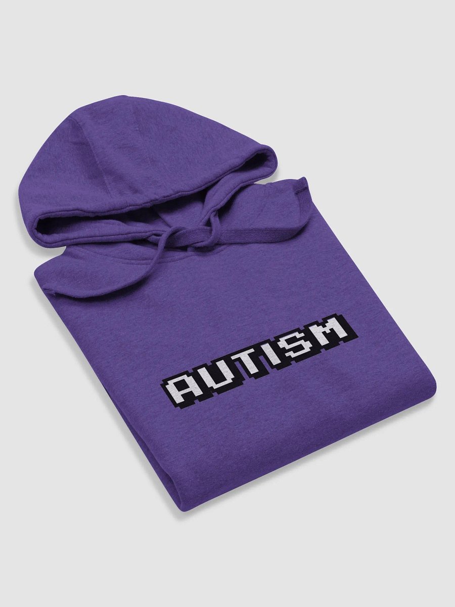 Autism (Hoodie) product image (2)
