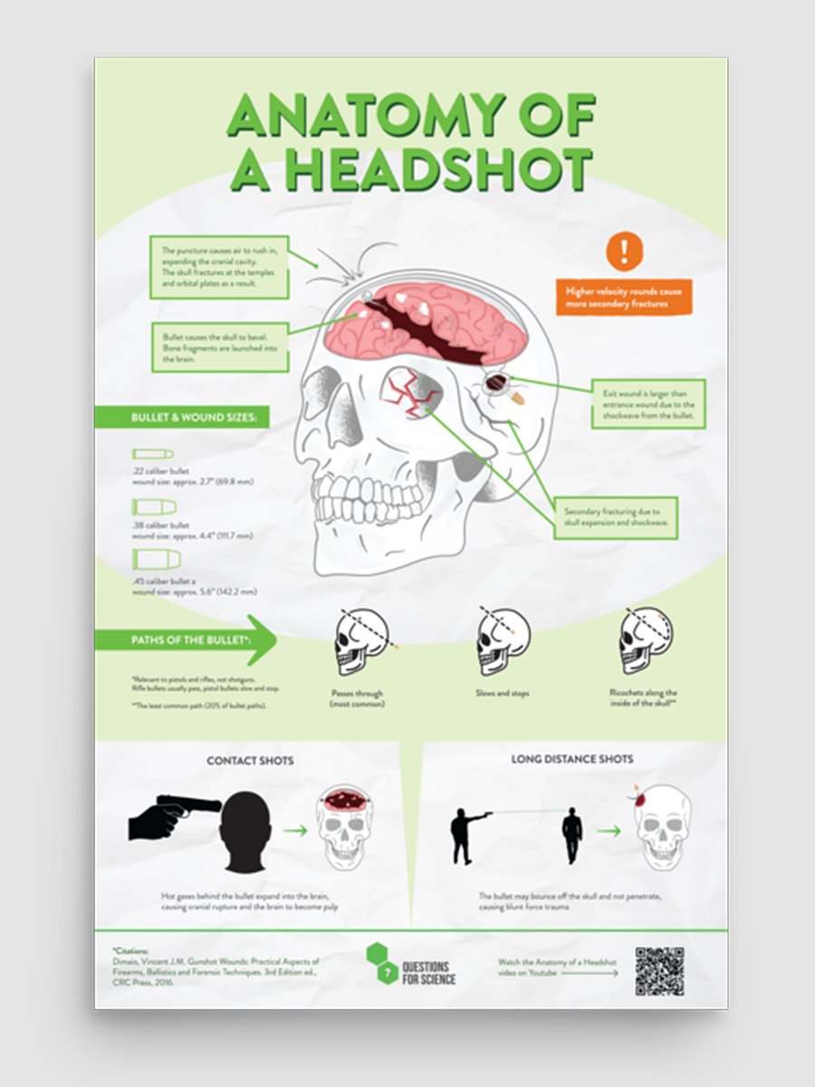 Anatomy of a Headshot Poster 12" x 18" Poster questions4science